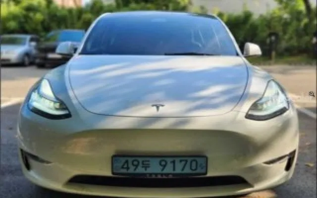 테슬라 모델 Y 롱 레인지 테슬라 2022년 11월 50,638km