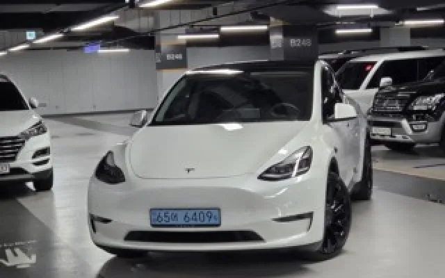 테슬라 모델 Y 퍼포먼스 테슬라 2021년 06월 60,829km